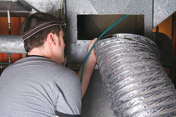 Best Air Duct Mold Removal  in Jerome, IL