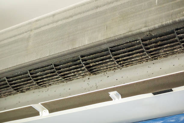 Best Air Vent Cleaning Services  in Jerome, IL