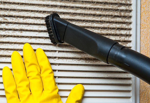 Best Duct Cleaning for Homes  in Jerome, IL